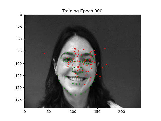 Visualization of training dynamics when using horizontal crops (incorrectly).